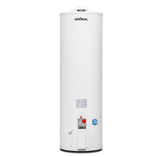 Termotanque Señorial Multigas 160 L