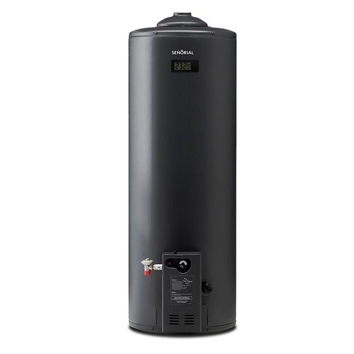 Termotanque Black 2.0 Multigas 110 L