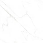 1351562-1