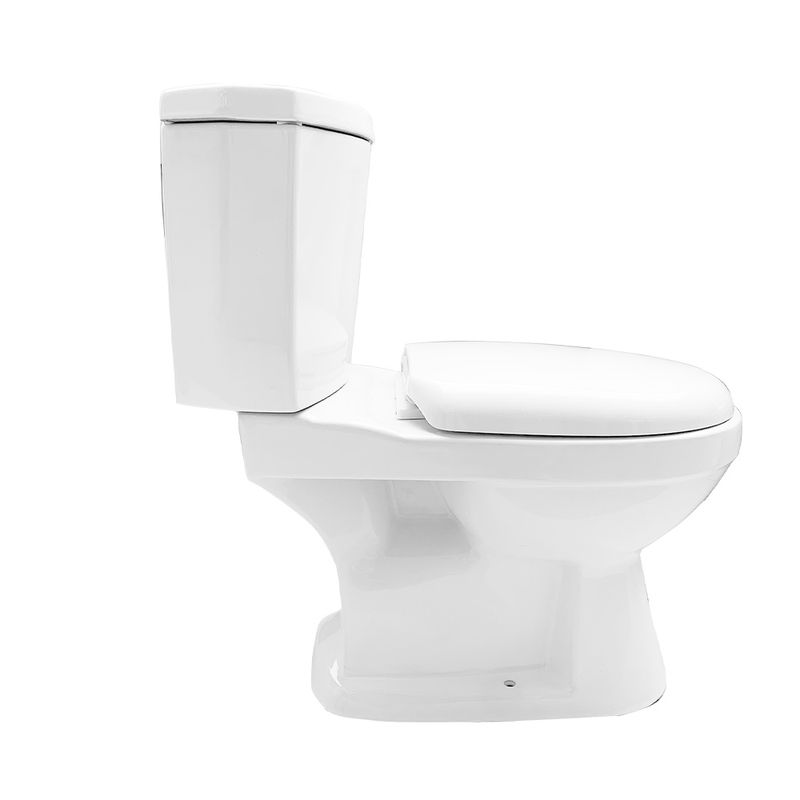 9009429_1.jpg